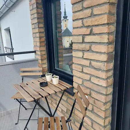 Roman Apartman 아파트 스렘스카 미트로비차