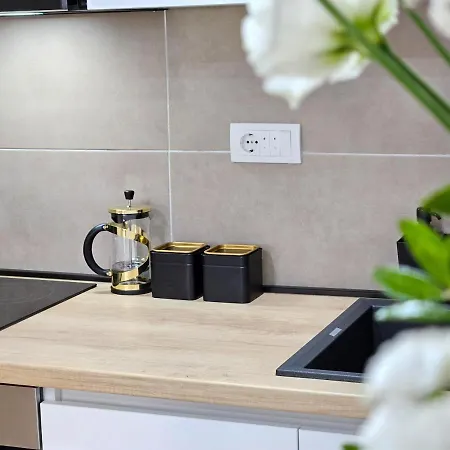 Roman Apartman * スレムスカ・ミトロヴィツァ