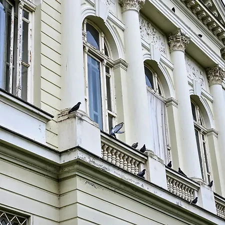 Roman Apartman 아파트 스렘스카 미트로비차