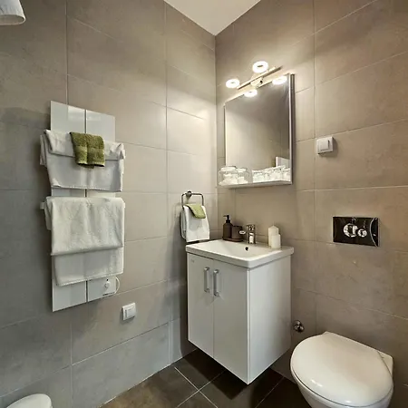 アパート Roman Apartman *