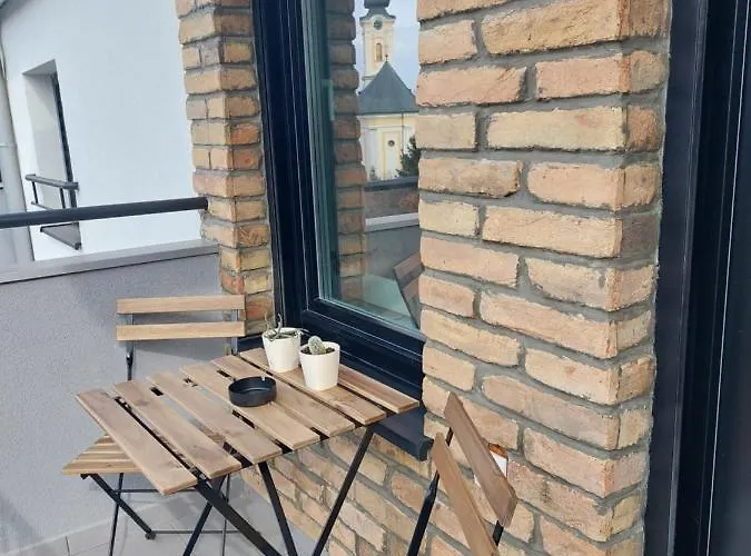 Roman Apartman 公寓 斯雷姆斯卡米特罗维察