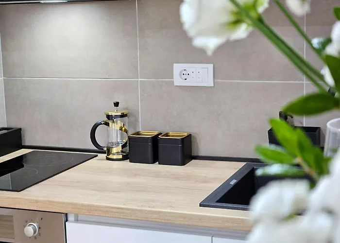 Roman Apartman * 斯雷姆斯卡米特罗维察