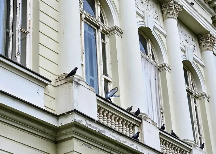 Roman Apartman 公寓 斯雷姆斯卡米特罗维察