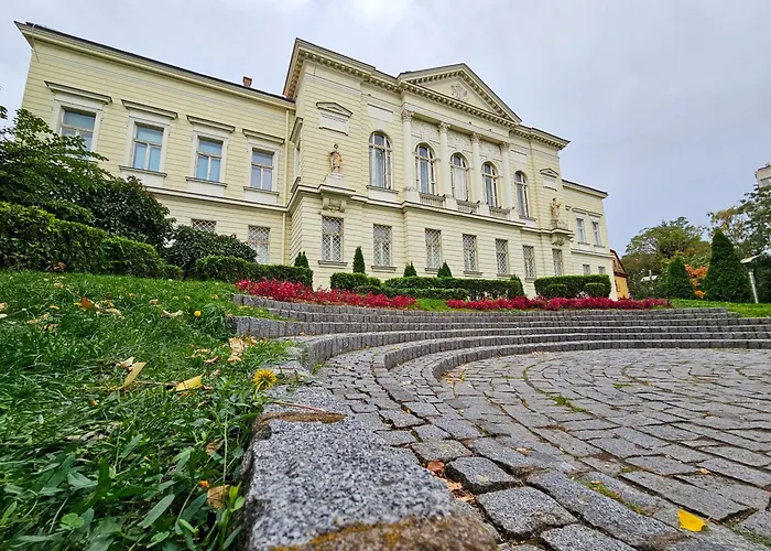 Roman Apartman * 斯雷姆斯卡米特罗维察